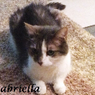 Gabriella 2000-2015